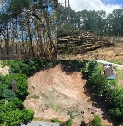 Before and after photos of land clearing in Upstate SC, showing wooded lot, fallen trees, and a fully cleared lot ready to sell. We Buy Land in All Conditions.