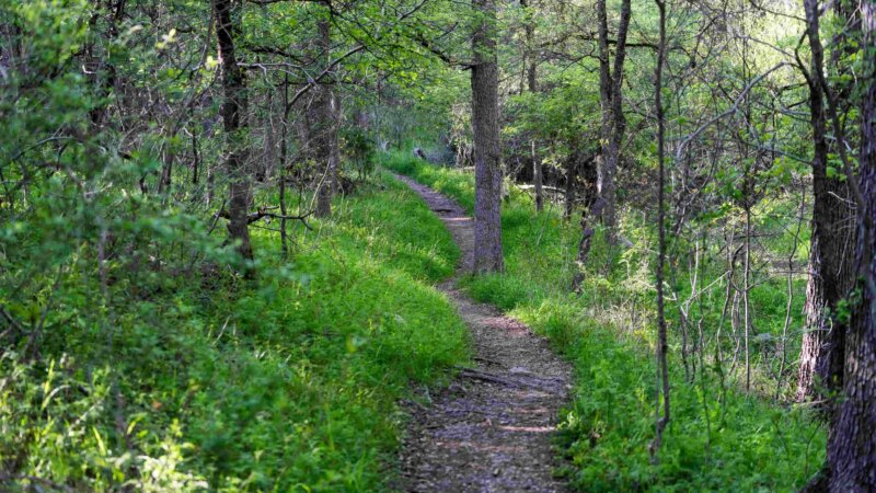 Austin Greenbelt Access Point