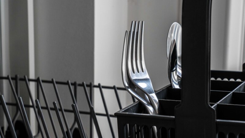 Check Dishwasher for Bugs in Austin