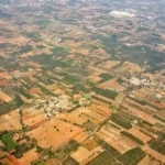 Exploring the Various Types of Land that Hold the Most Promise for Investors Looking to Maximize Profit in South Carolina