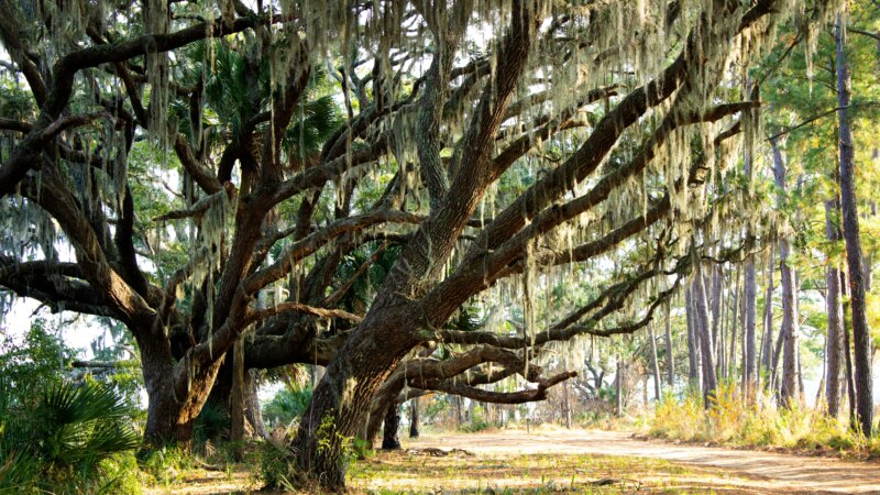 angelique-HIEBwwjXd9k-unsplash