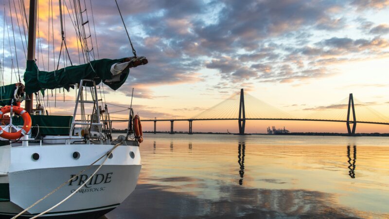 andrew-shelley-gCkvtLNIYdM-unsplash