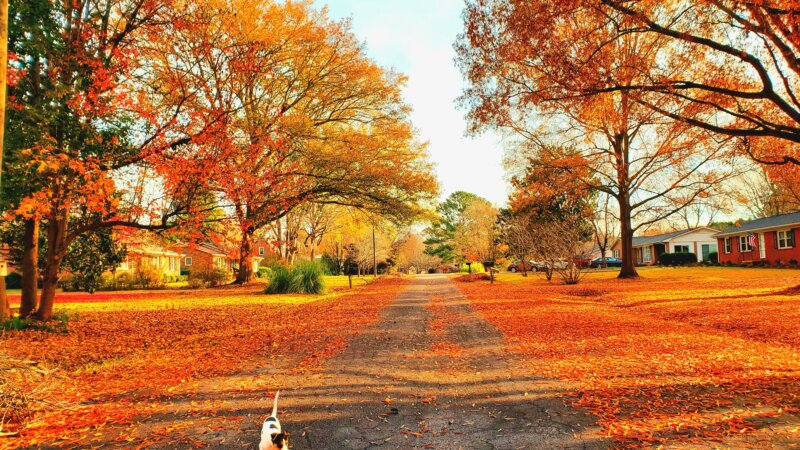 karolina-bobek-DCmTUr-lExc-unsplash