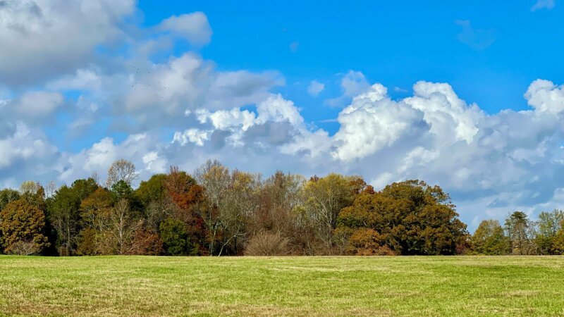 stephanie-klepacki-uMumla-sFNo-unsplash