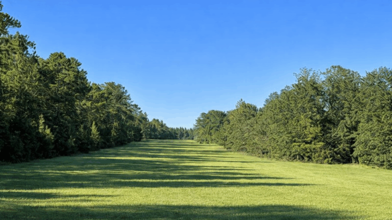 af2c52b3-7159-4bd7-bf6a-706116411f48