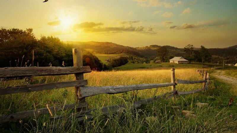 rural