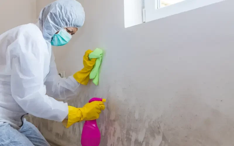 Can You Sell a House After Mold Remediation