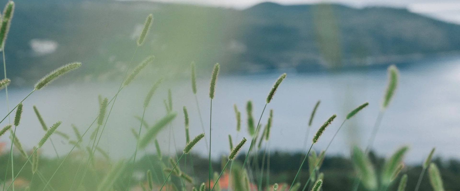 South Carolina homeowner preparing to sell their house quickly for cash, representing stress-free home-selling solutions offered by Table Rock Homebuyers.