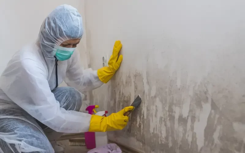Do You Need to Fix Mold Before Selling