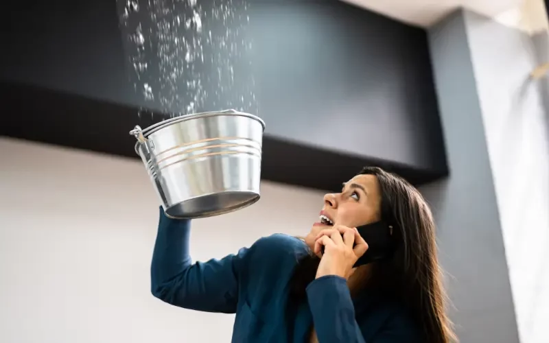 Can You Sell a House with Water Damage in NC