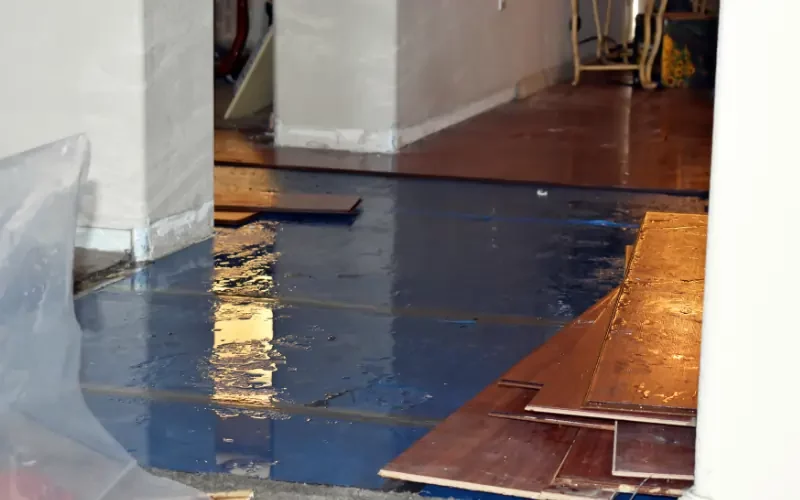 Selling a House with Water Damage in North Carolina