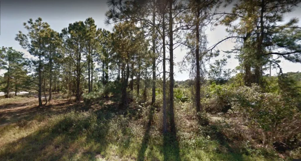 How to Sell Land Fast