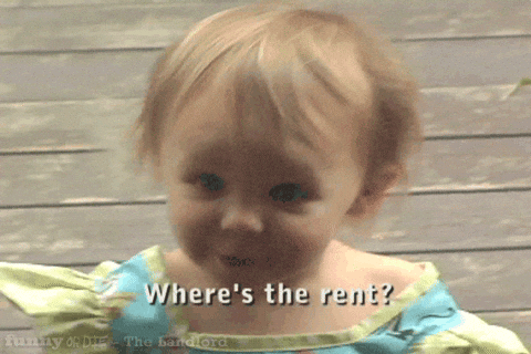 child saying where is the rent