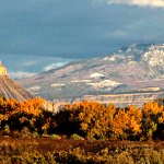 How To Find Your Real Estate Niche In Colorado Springs