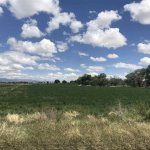 5 Ways To Use Your Profits After Selling Your Land in Colorado Springs !