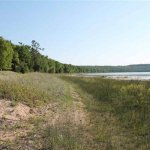 Why Selling Land Is Different Than Selling Your House In Colorado