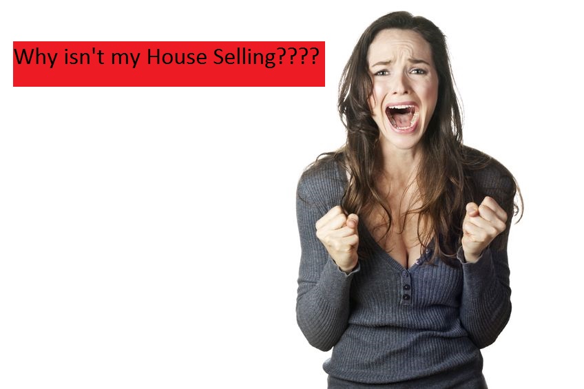 Why Isn’t My House Selling in Miami Miami House Buyers®